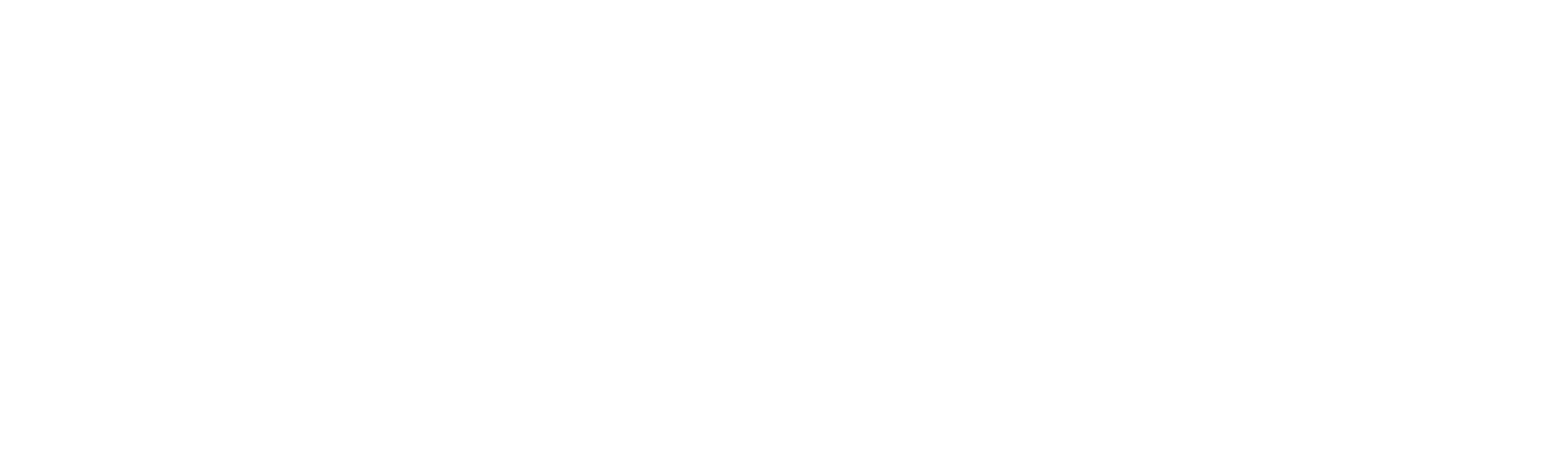Warrior Auditors